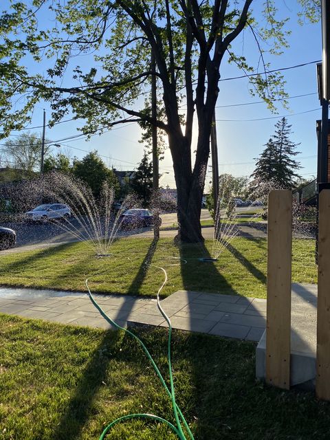 Juin 2021 — Gazon, arrosage et arbres