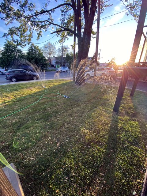 Juin 2021 — Gazon, arrosage et arbres